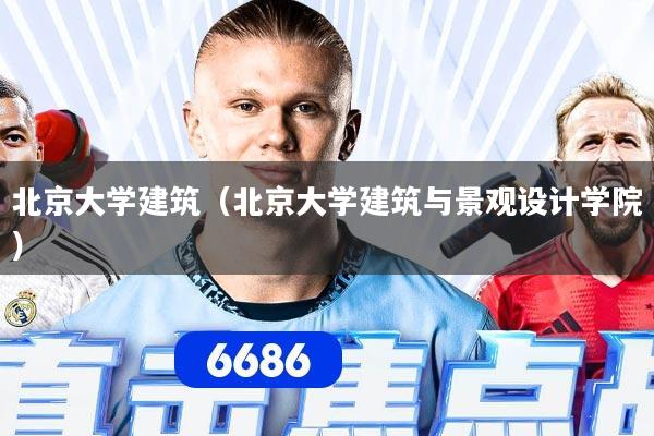 北京大学建筑（北京大学建筑与景观设计学院）