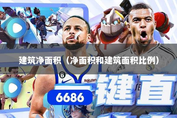 建筑净面积（净面积和建筑面积比例）
